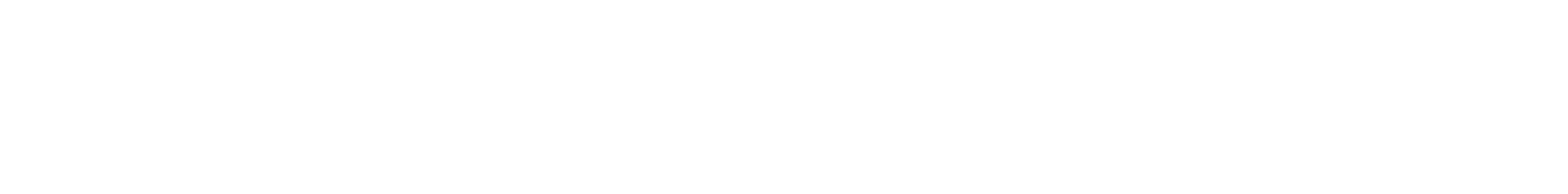 Calico Systems